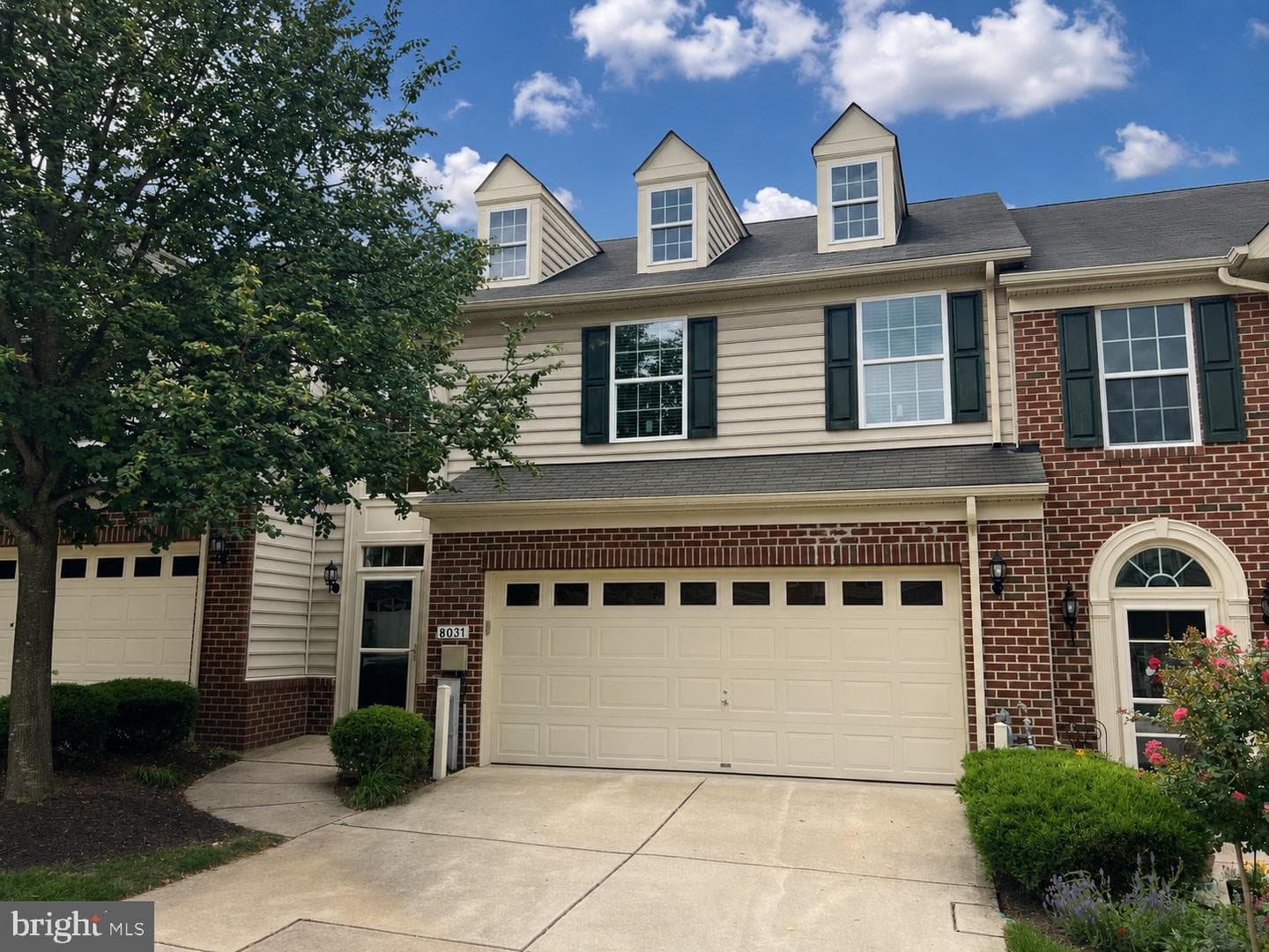 8031 White Jasmine Court #114 photo 1