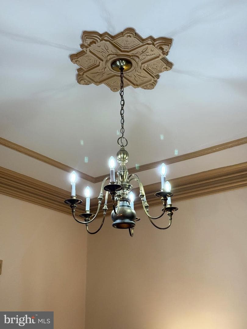 117 Court Street photo 12