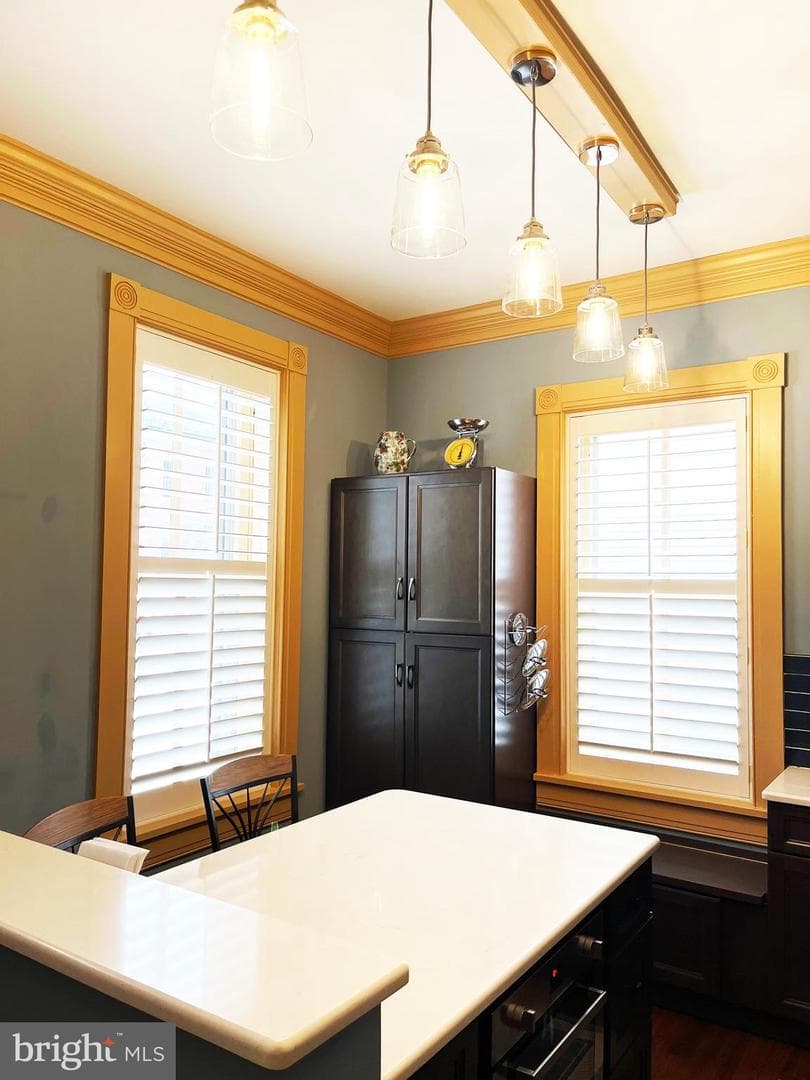 117 Court Street photo 20
