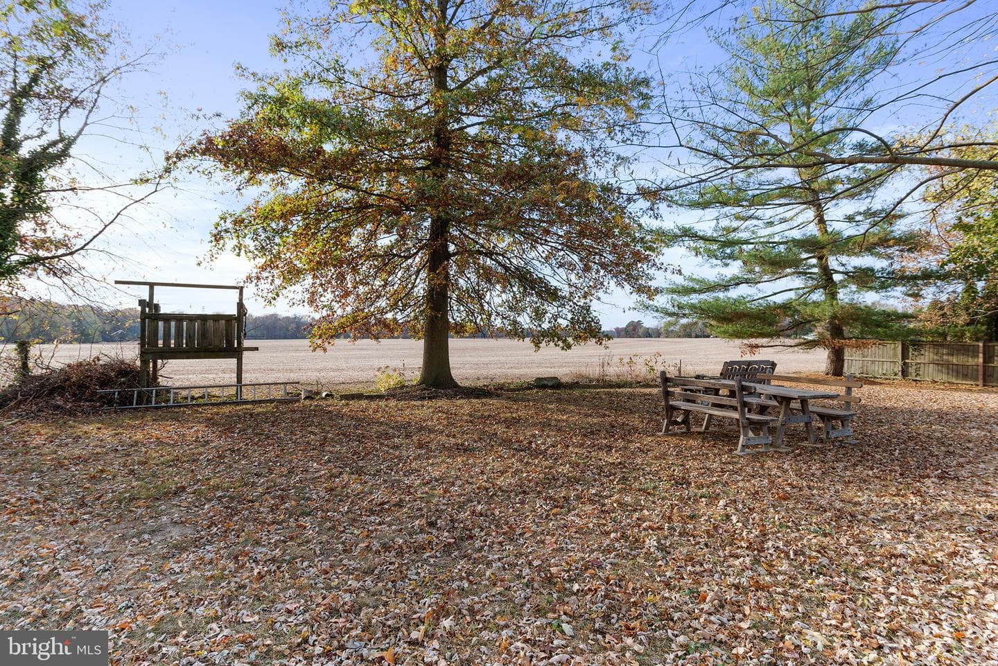 12664 Still Pond Road photo 26