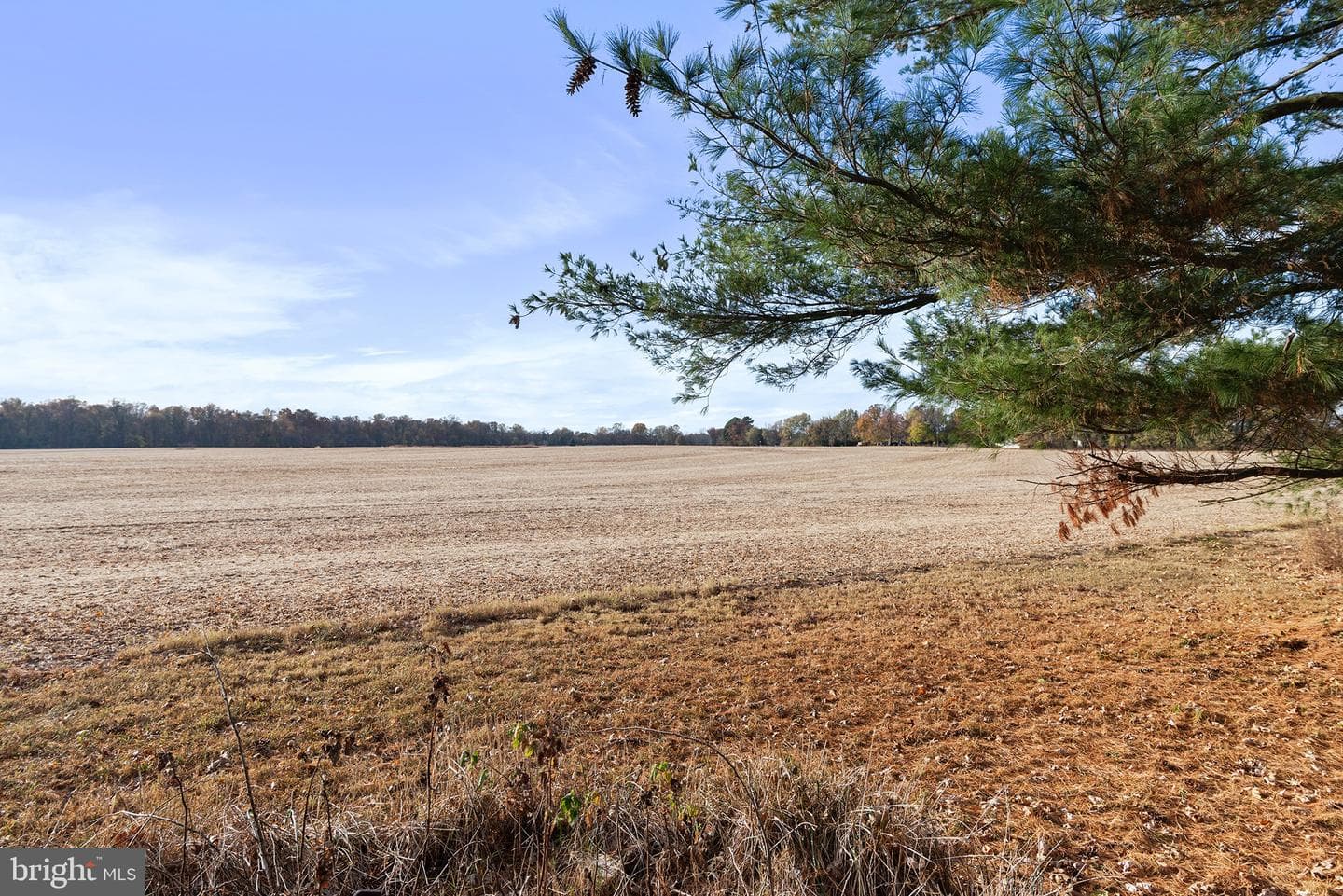 12664 Still Pond Road photo 27