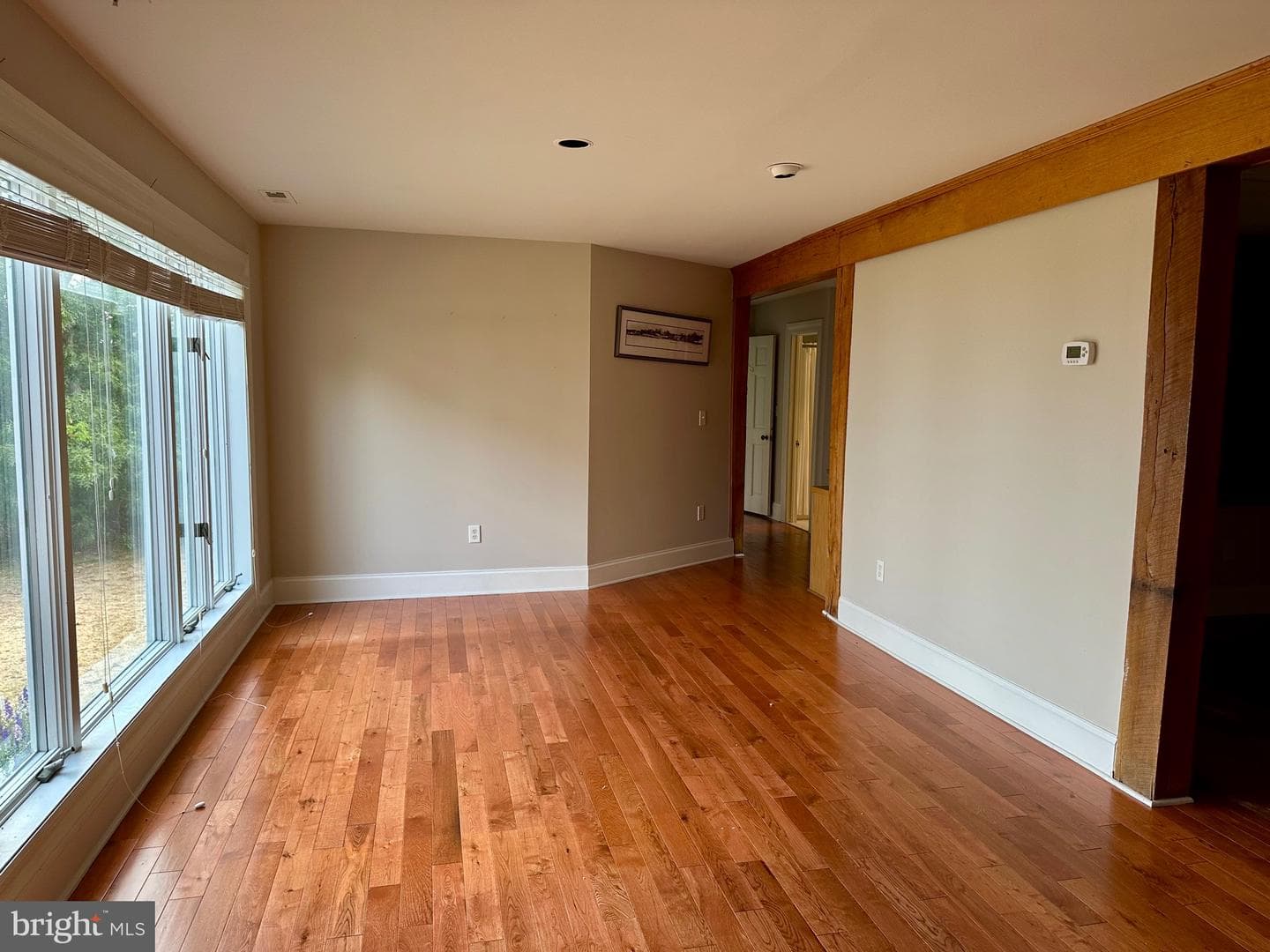 24196 Still Pond Neck Road photo 22