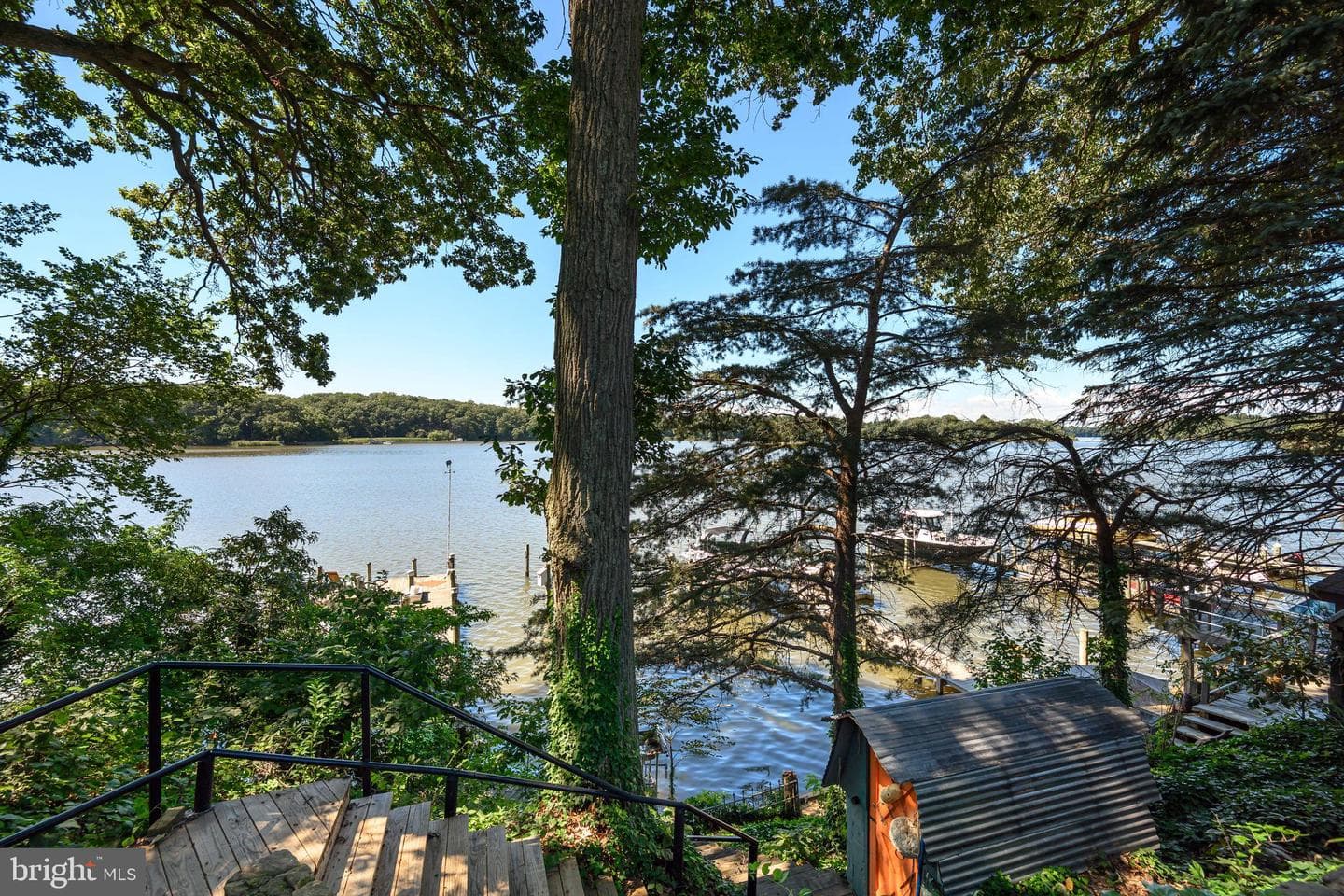 25209 Wymont Park Road photo 5