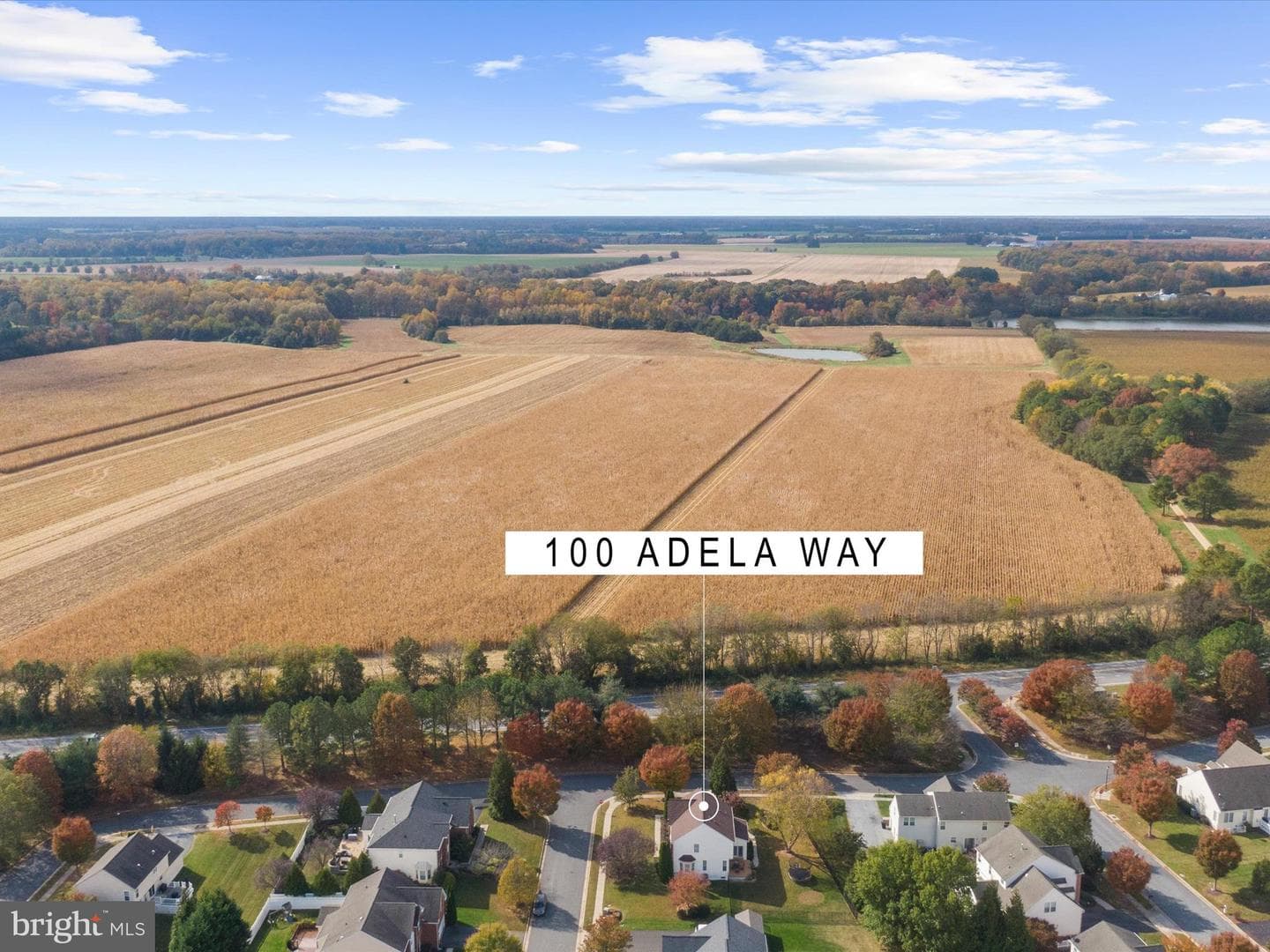 100 Adela Way photo 61