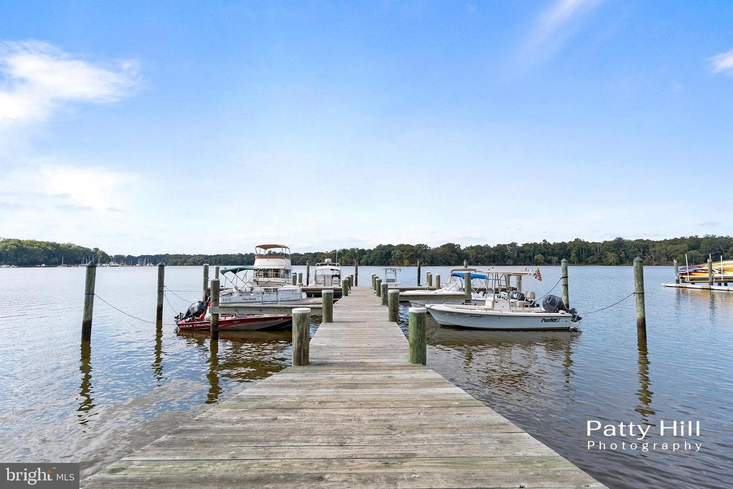 13840 Duck Hollow Drive photo 3