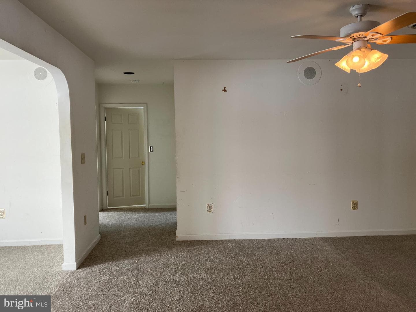 21336 Haven Road photo 14