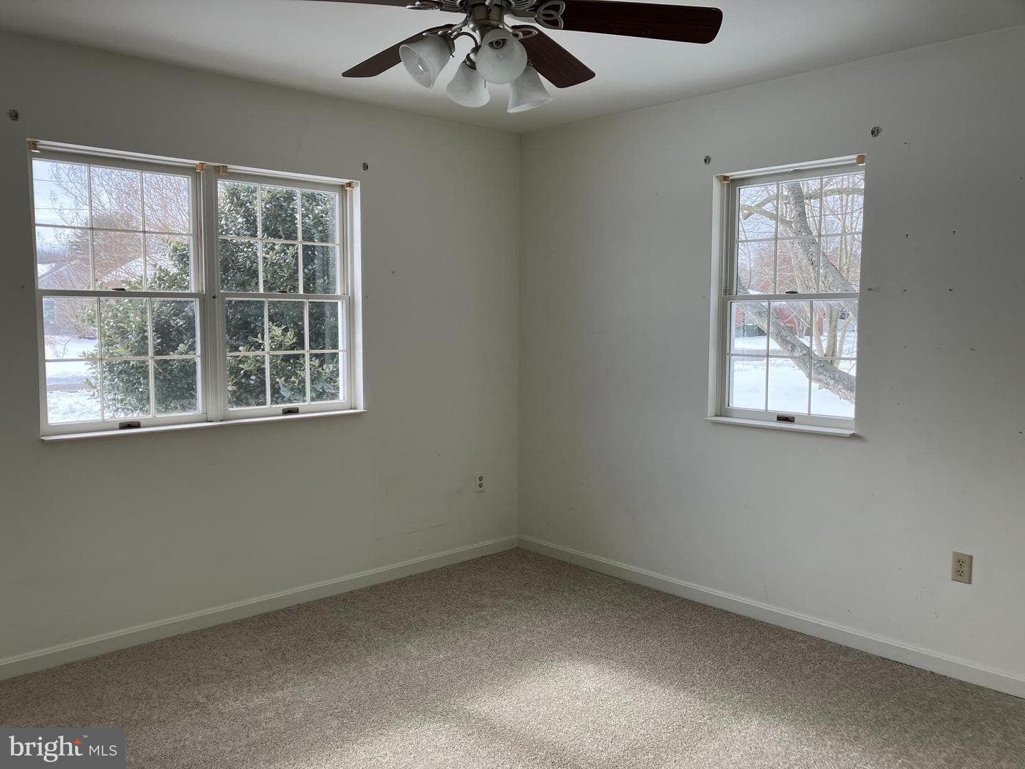 21336 Haven Road photo 15