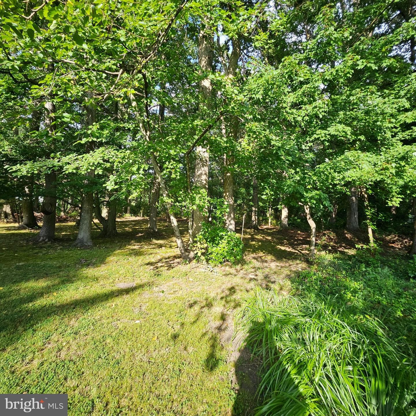 5827 S Hawthorne Avenue photo 49