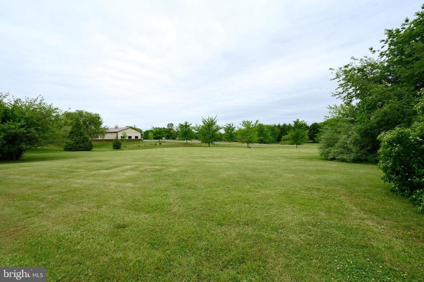 956 Washington Avenue photo 6