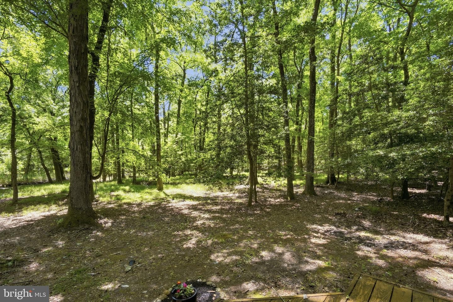 22300 Frazier Road photo 32