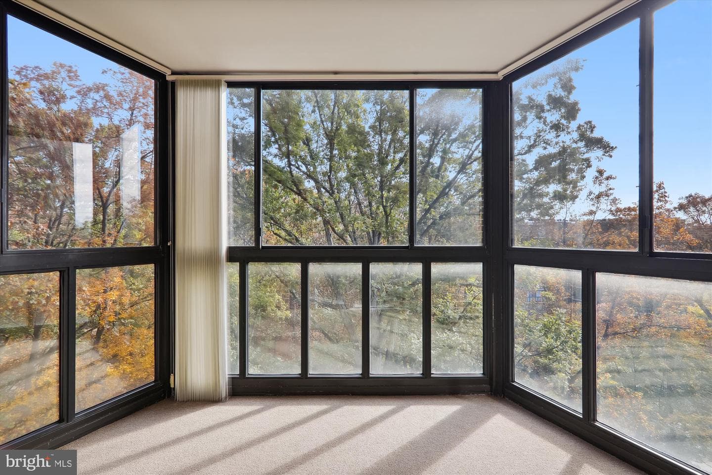 15100 Interlachen Drive #4-816 photo 1