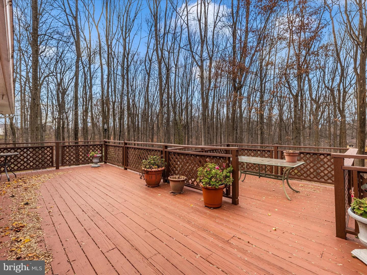 24412 Kakae Drive photo 6