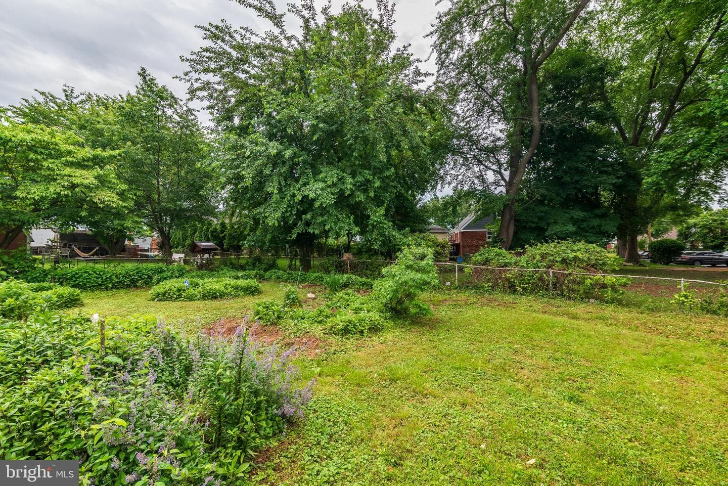 3808 Greenly Street photo 51