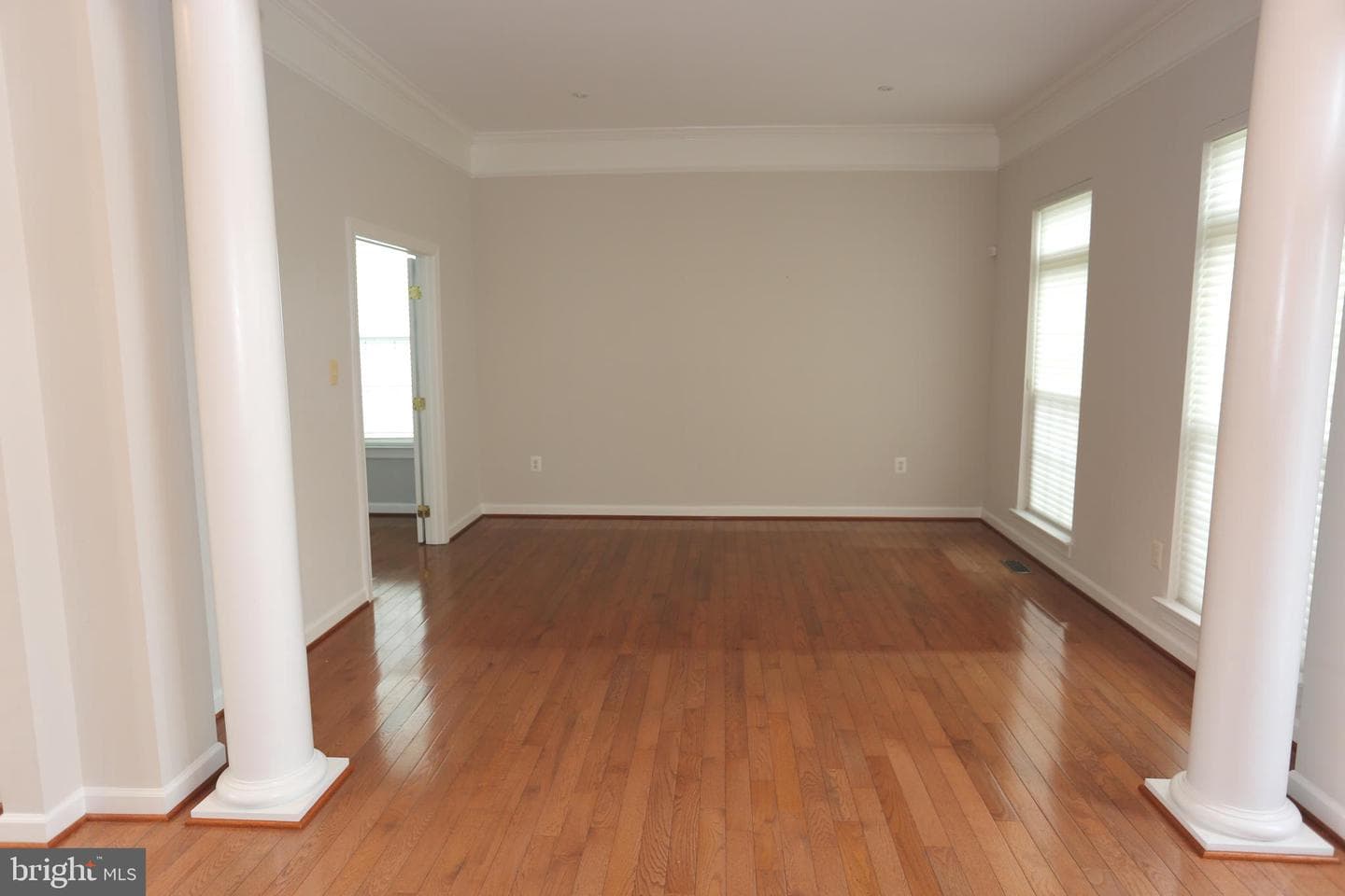 13603 Gum Spring Drive photo 5