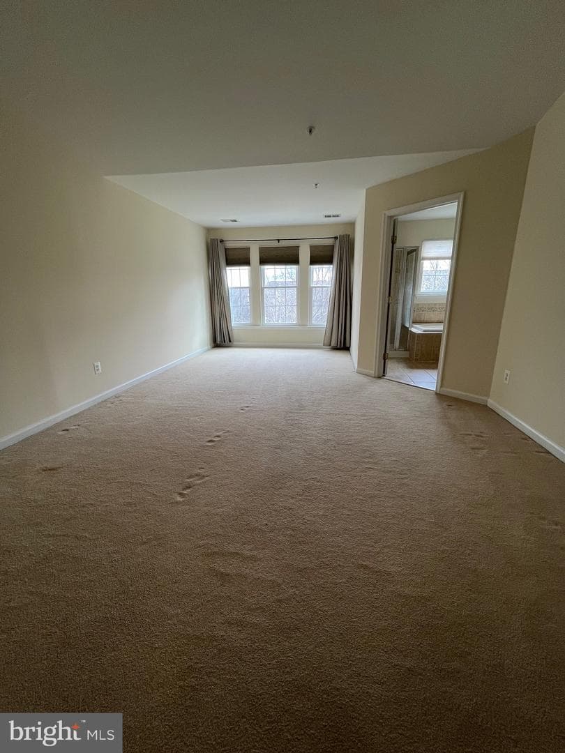10491 Damascus Park Lane photo 6