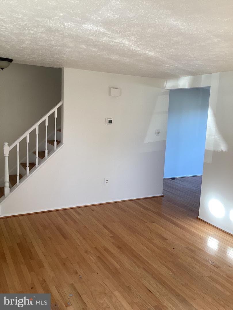12527 Willow Spring Circle photo 10