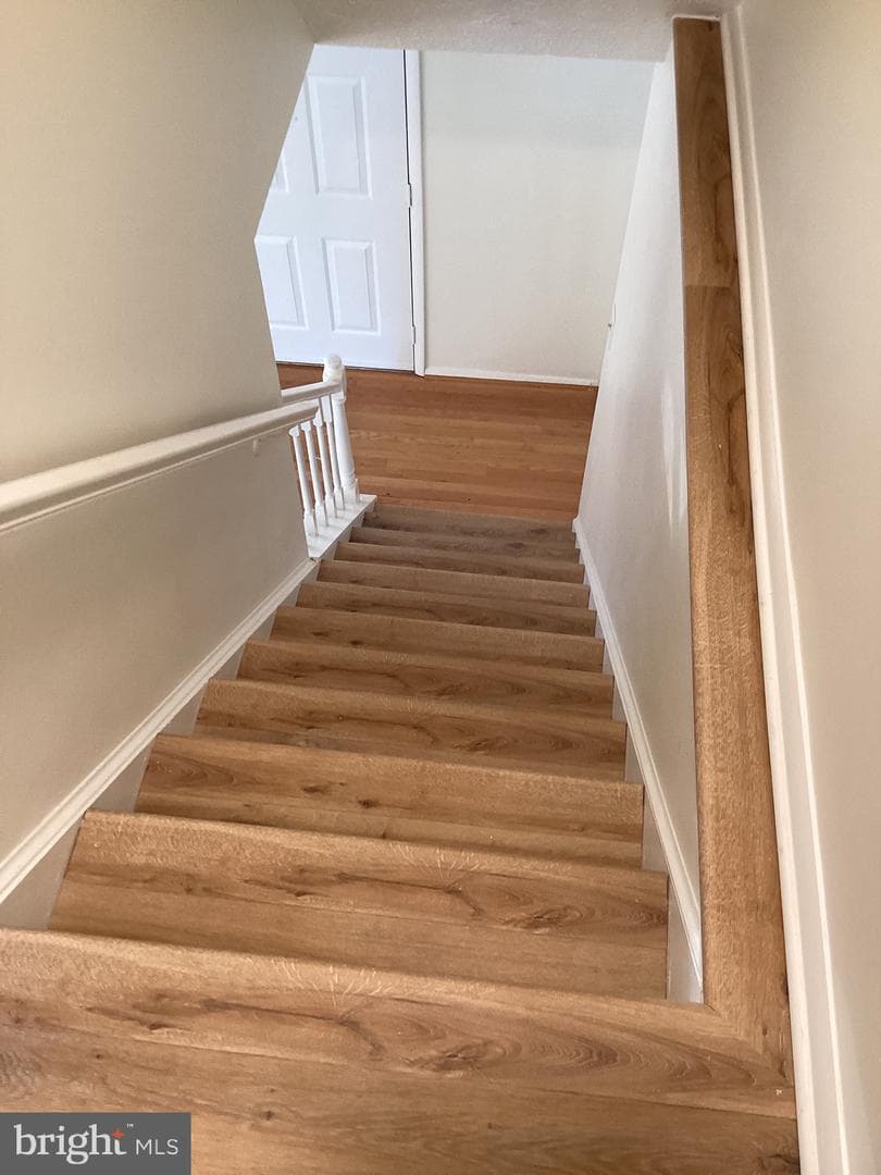 12527 Willow Spring Circle photo 3