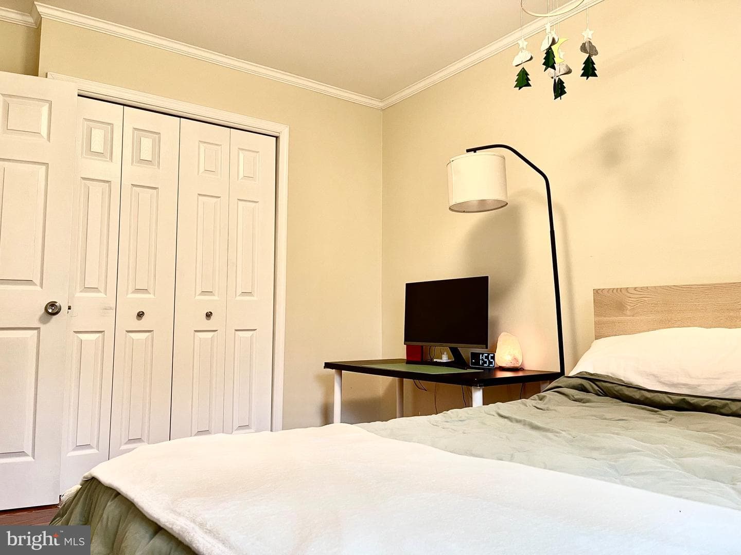 15516 Peach Leaf Lane photo 22