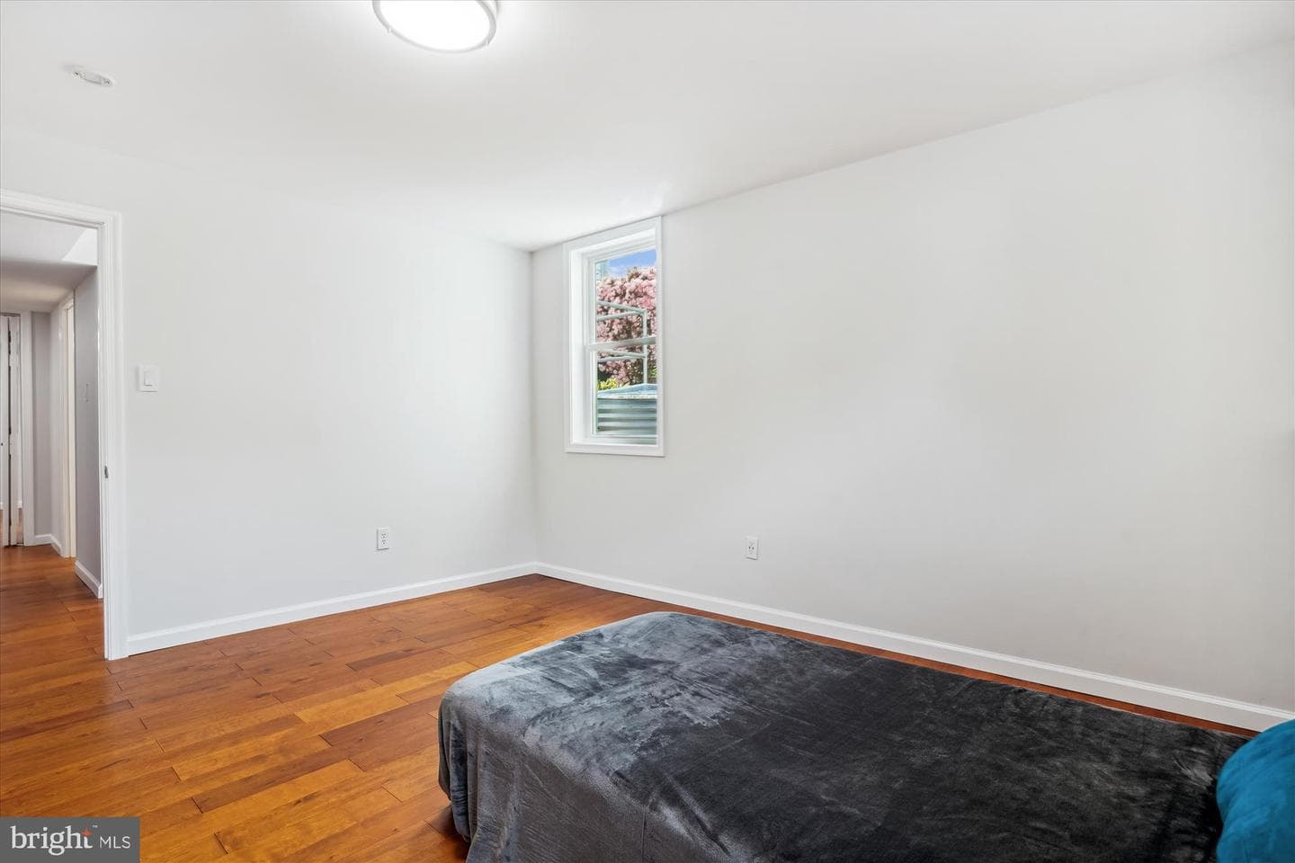 8000 Beech Tree Road photo 48