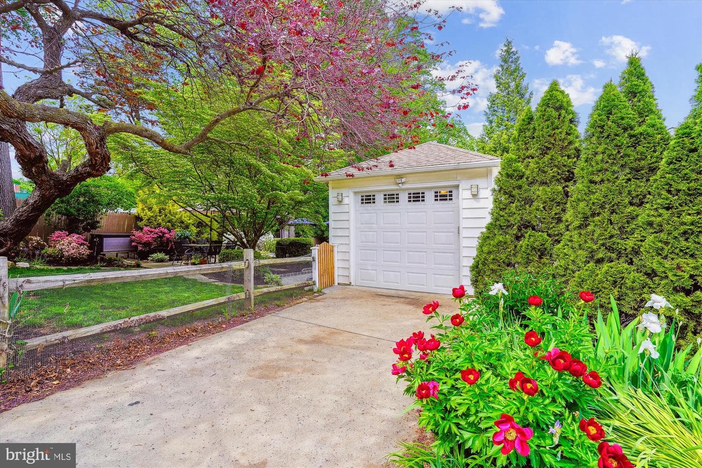 8000 Beech Tree Road photo 66