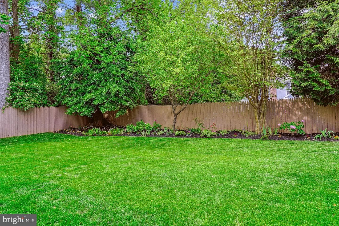 8000 Beech Tree Road photo 7