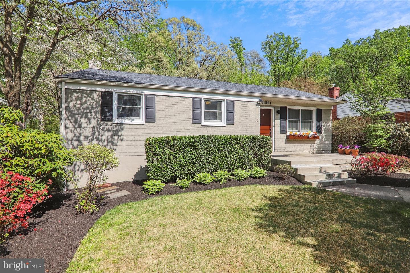 11501 Ashley Drive photo 2