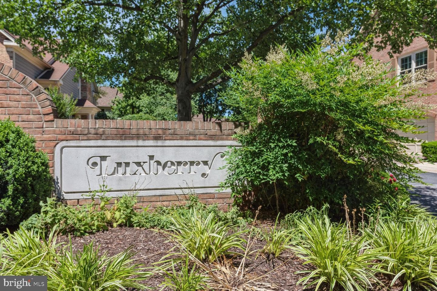 10817 Luxberry Drive photo 25