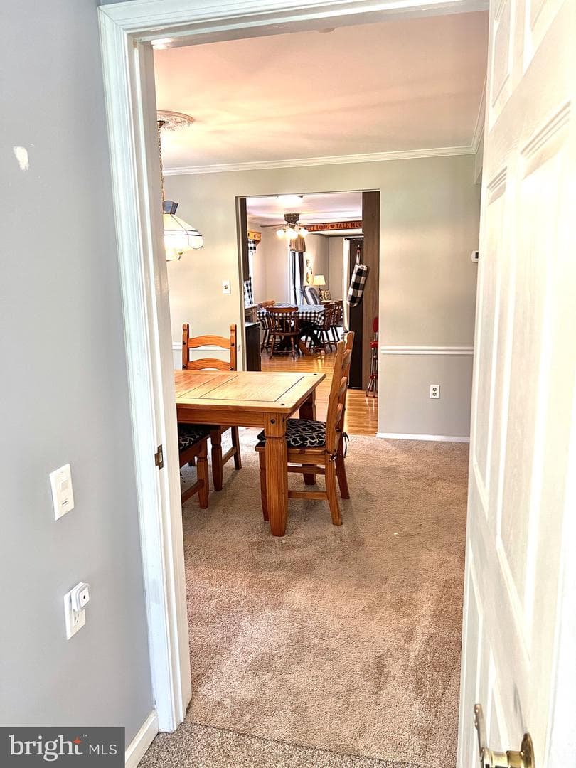 25258 Conrad Court photo 27