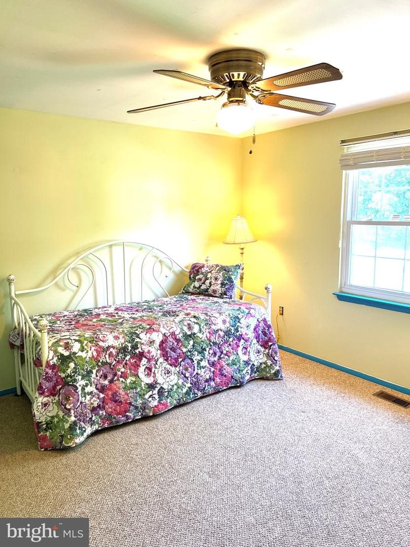 25258 Conrad Court photo 52