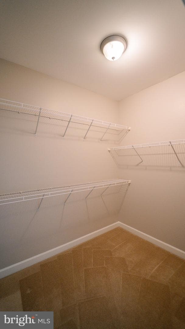 412 Hackberry Place photo 26