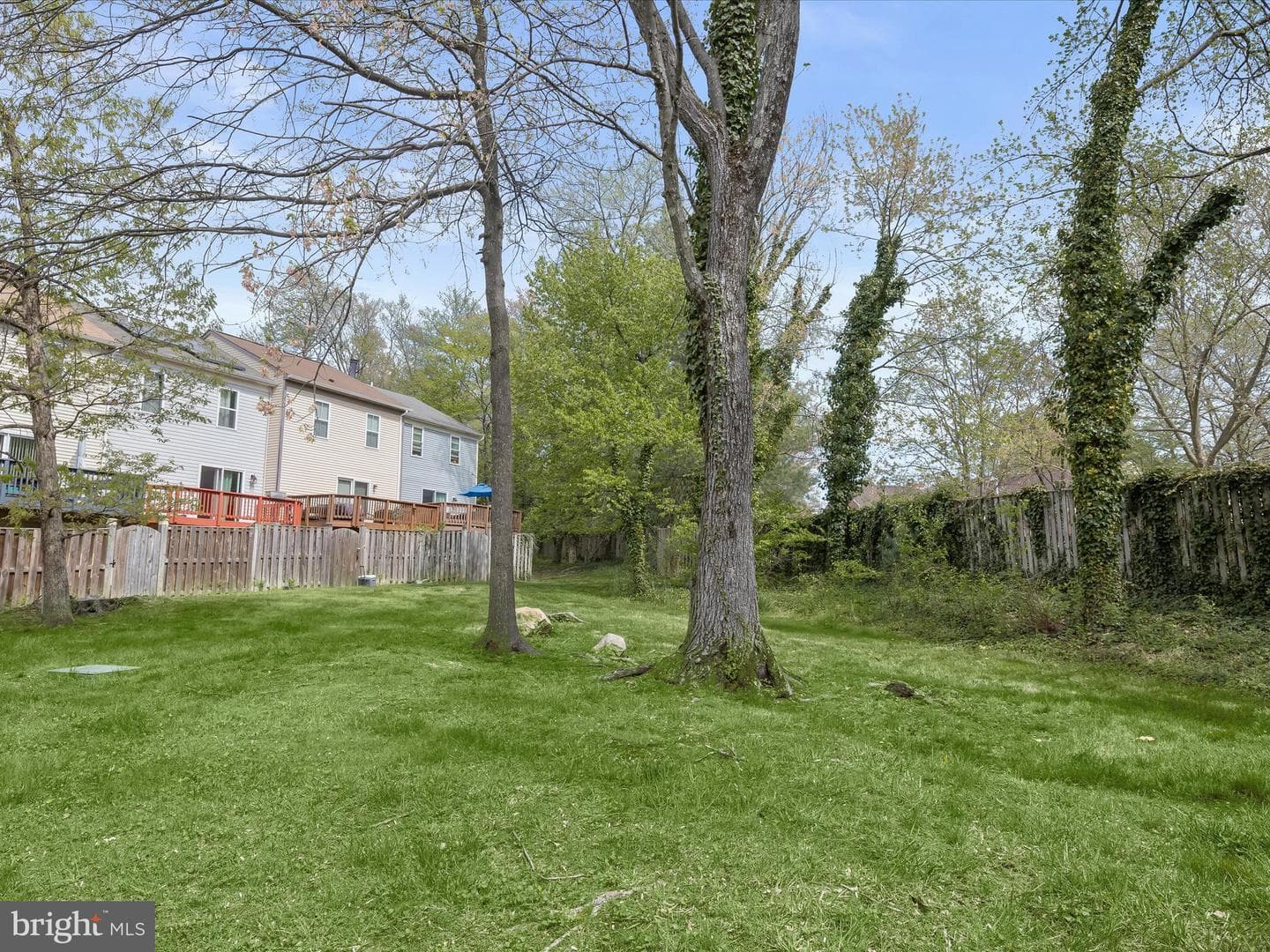 3524 Softwood Terrace photo 40
