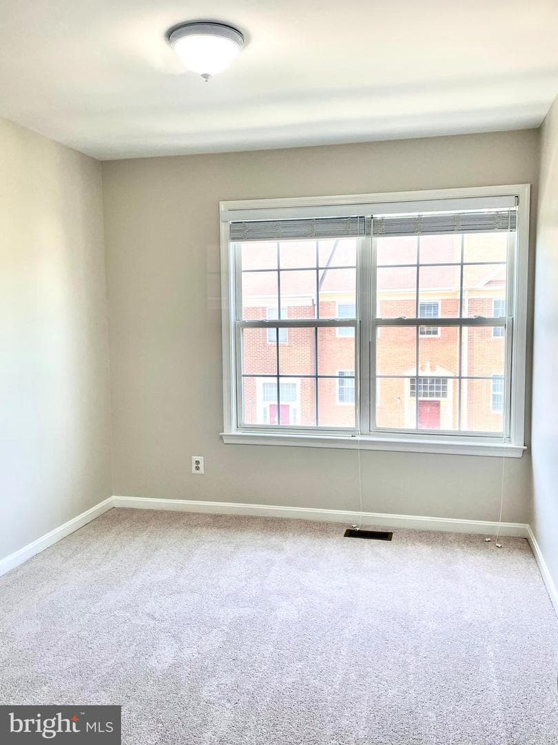 18614 Carriage Walk Circle photo 29
