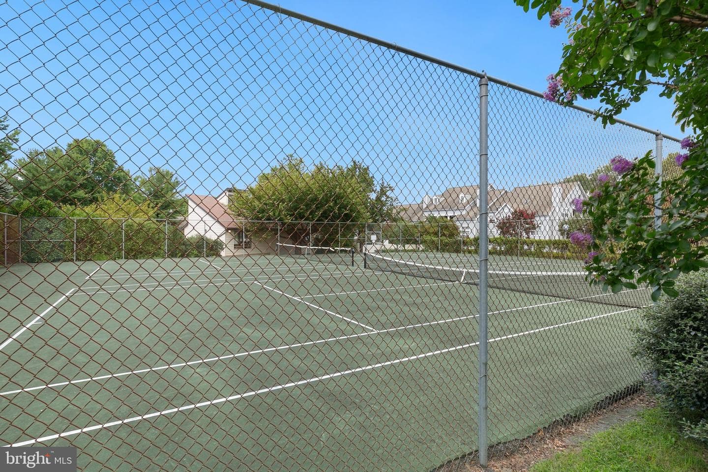 9906 Boysenberry Way #118 photo 33