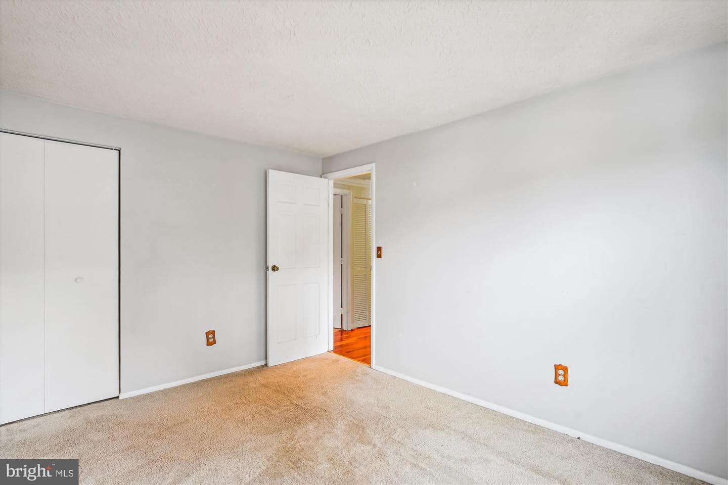 19013 Perrone Drive photo 22