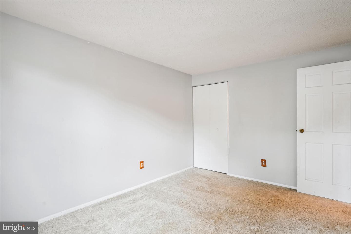 19013 Perrone Drive photo 23