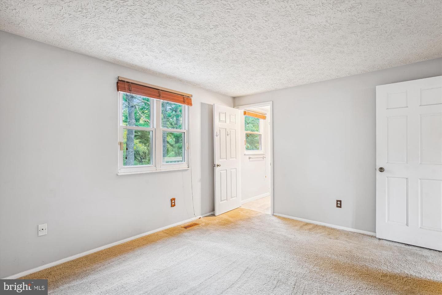 19013 Perrone Drive photo 27