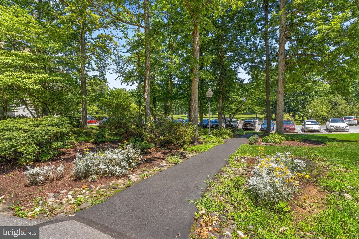 15107 Interlachen Drive #818 photo 33