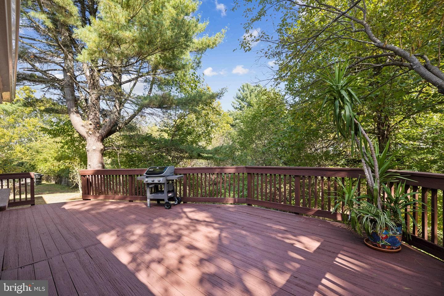 1729 Glastonberry Rd photo 12