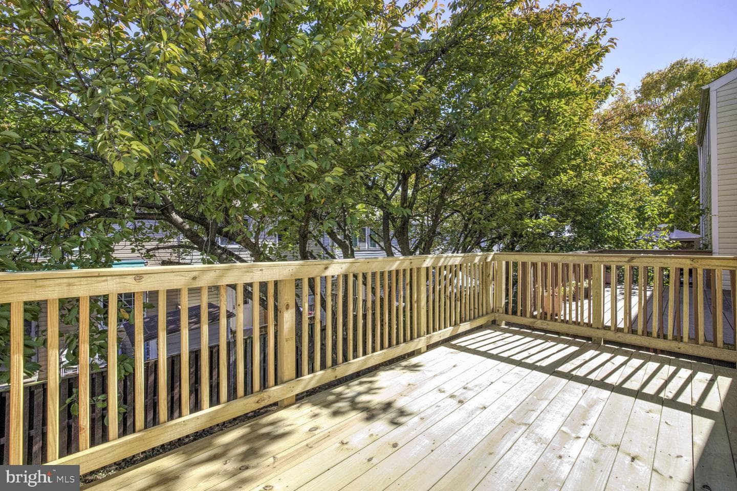 7 Willow Spring Court photo 24