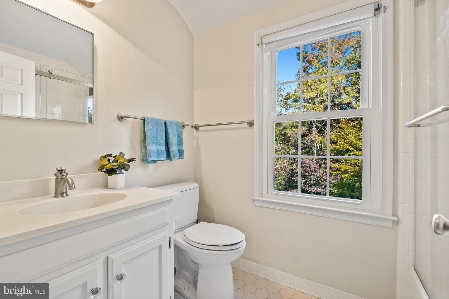 8225 Windsor View Terrace photo 24