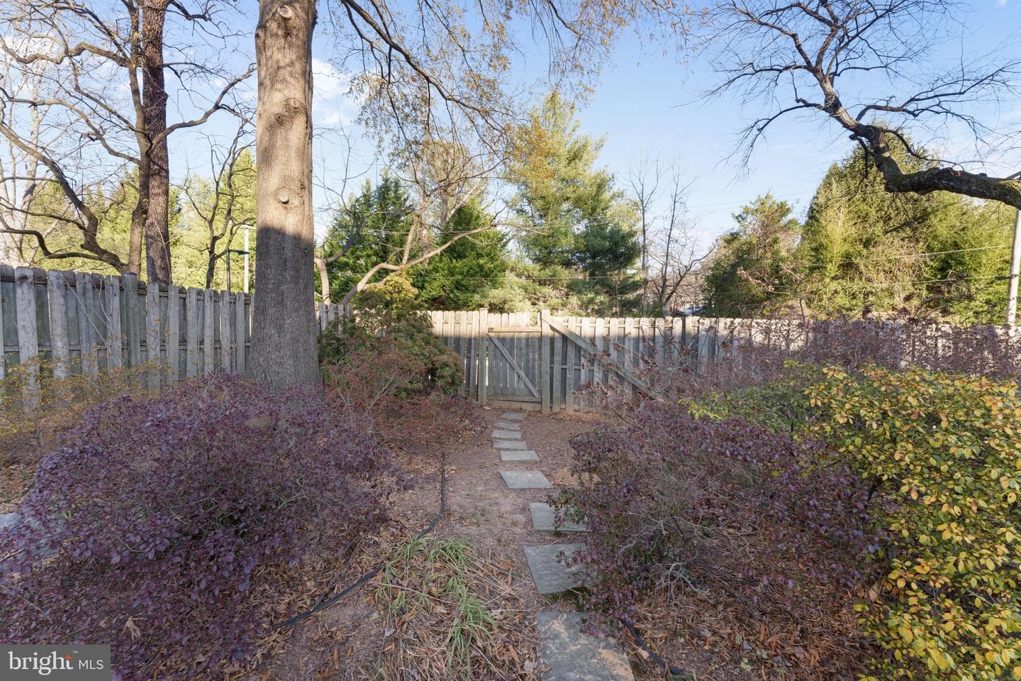 13 Treworthy Road photo 54