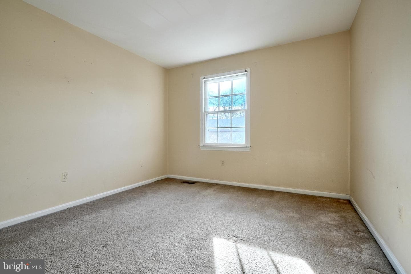 6779 Surreywood Lane photo 22