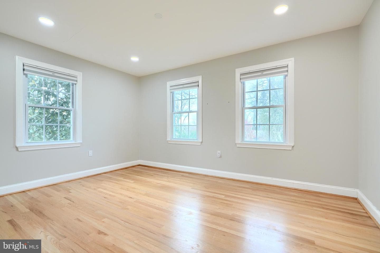 15125 Manor Lake Drive photo 35