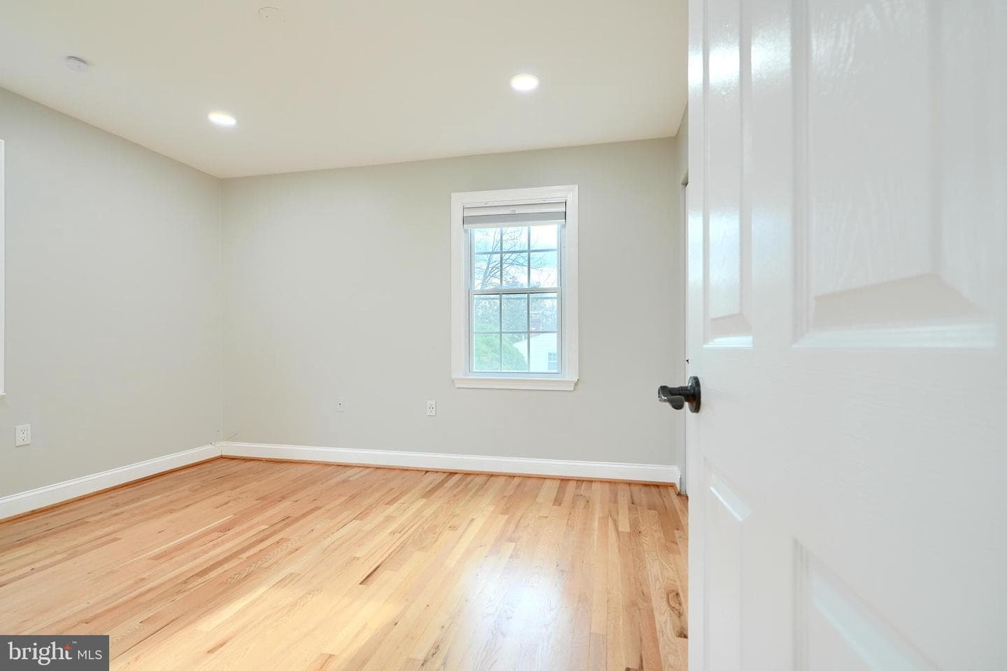 15125 Manor Lake Drive photo 38