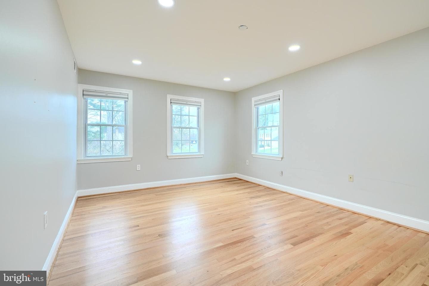 15125 Manor Lake Drive photo 47
