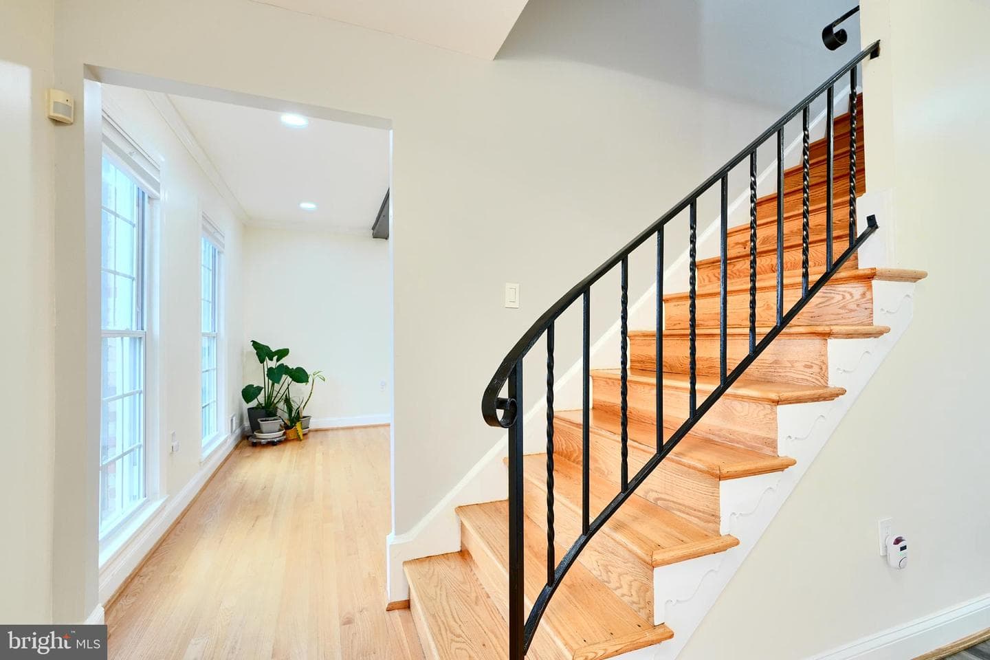 15125 Manor Lake Drive photo 5
