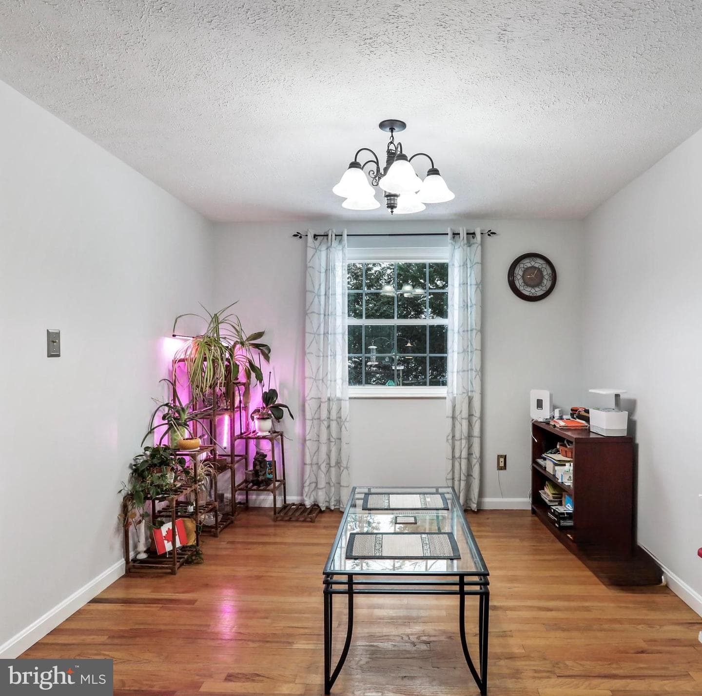 18808 Flower Hill Way photo 5