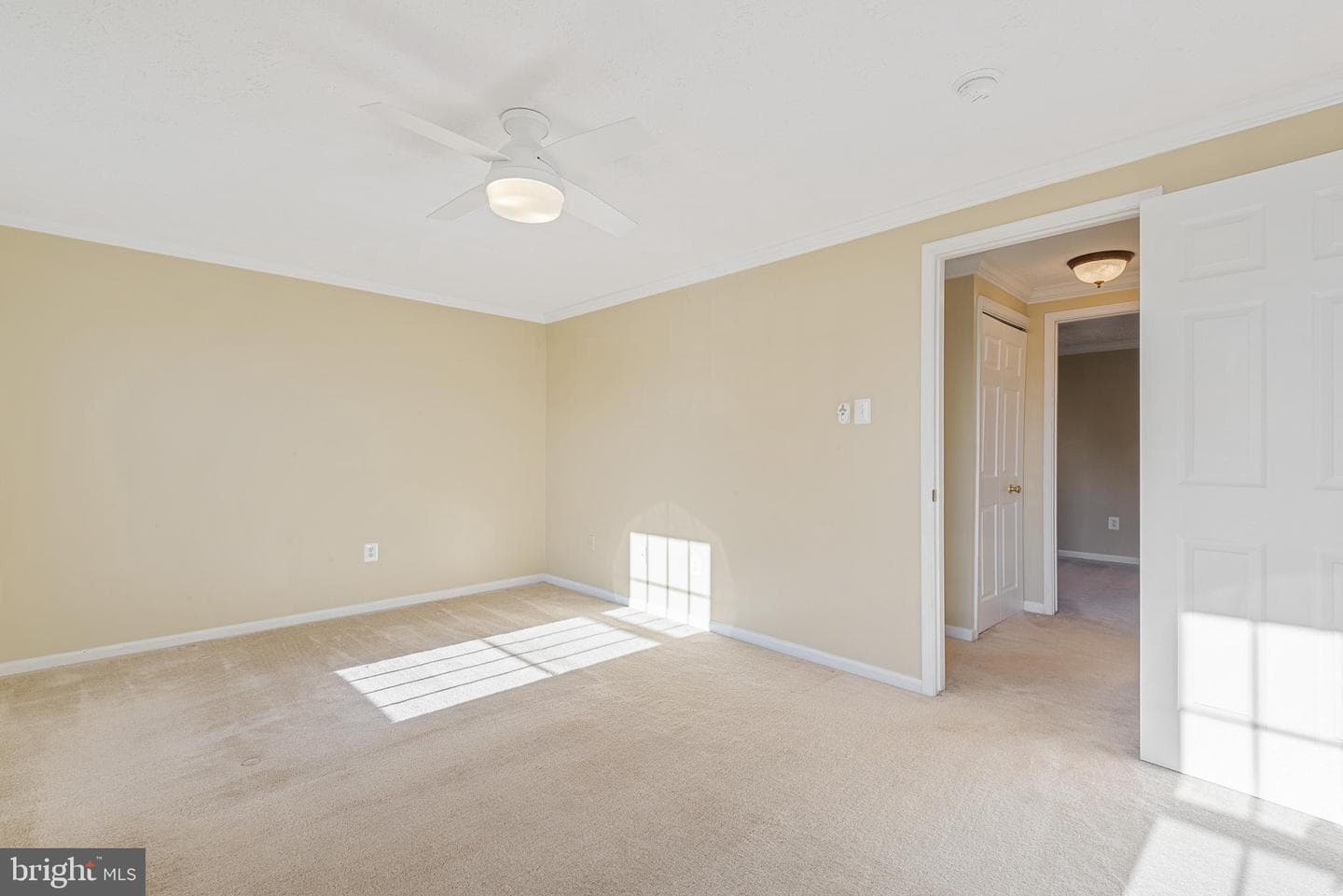 502 Palmtree Drive photo 21