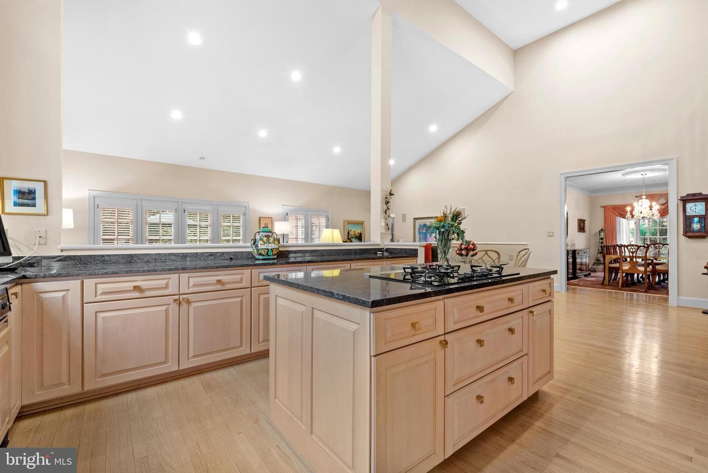 10041 Chartwell Manor Court photo 17