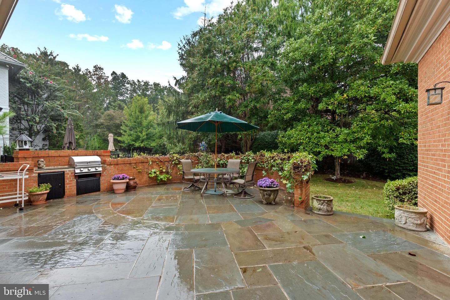10041 Chartwell Manor Court photo 53